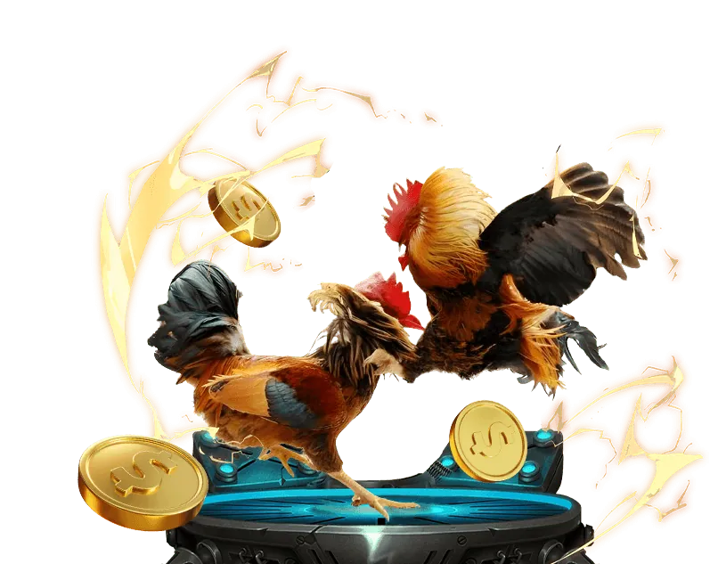 Cam kết trách nhiệm của CO88 App